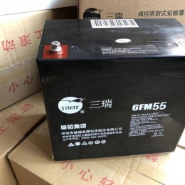 三瑞蓄电池6FM55-X